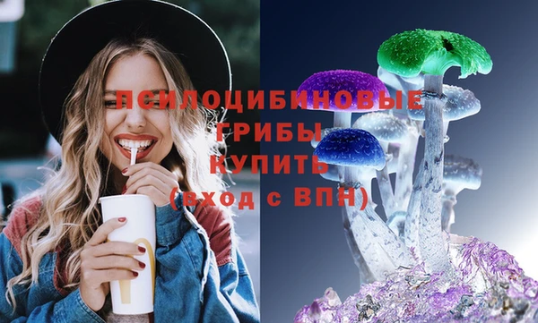 мдпв Арсеньев