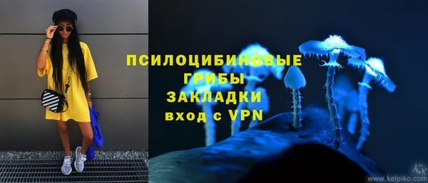 винт Аркадак