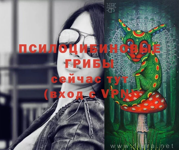 винт Аркадак